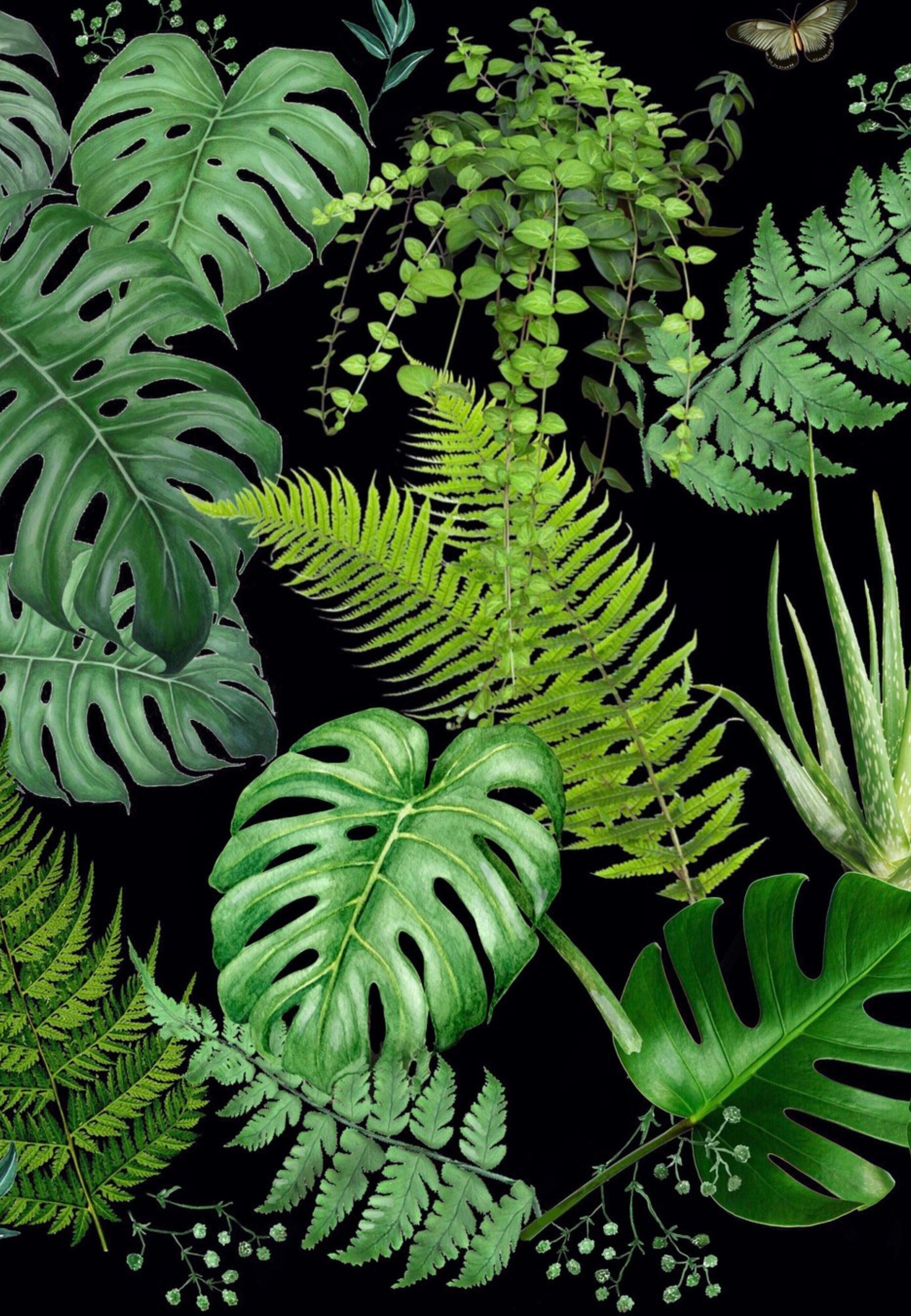 Close up of Jambats Botanicals print fabric showing beautiful green houseplant leaves.